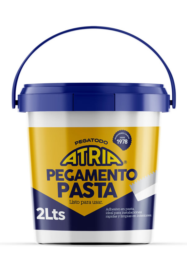 <h5>Pegamento Pasta</h5>